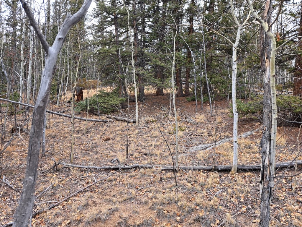 210 Tepee Trail Property Photo 12