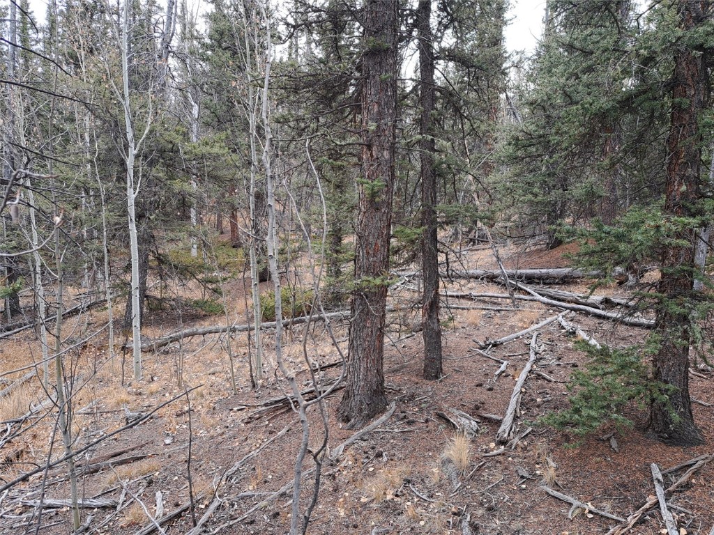 210 Tepee Trail Property Photo 13