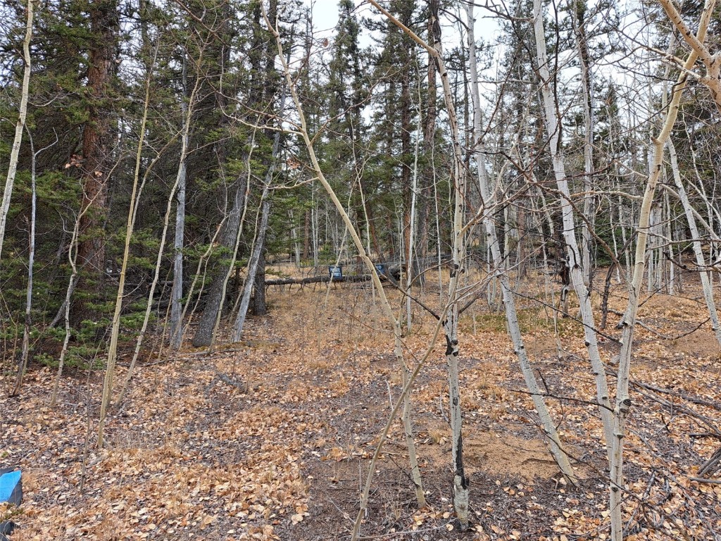 210 Tepee Trail Property Photo 14
