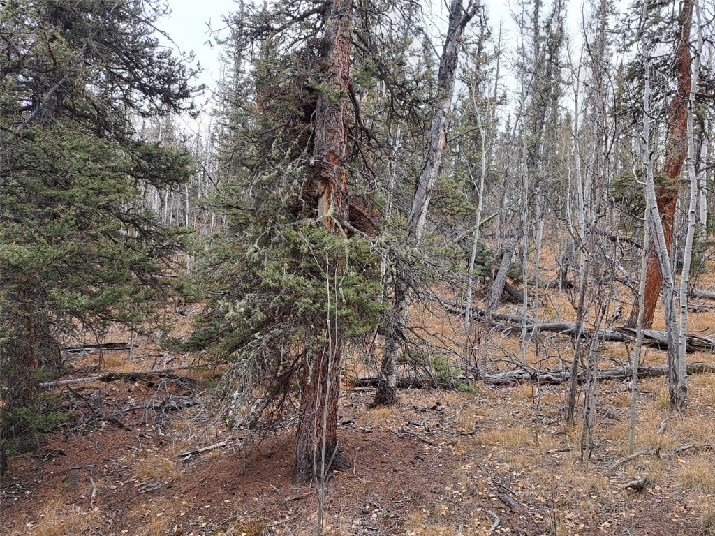 210 Tepee Trail Property Photo 15