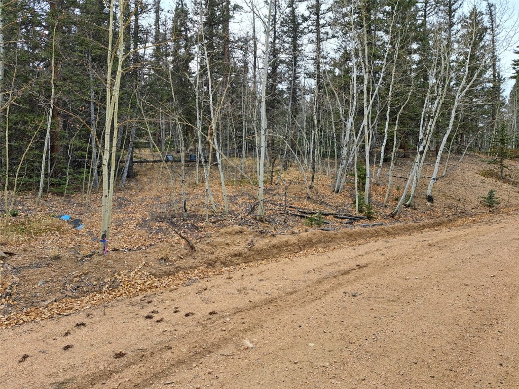 210 Tepee Trail Property Photo 16