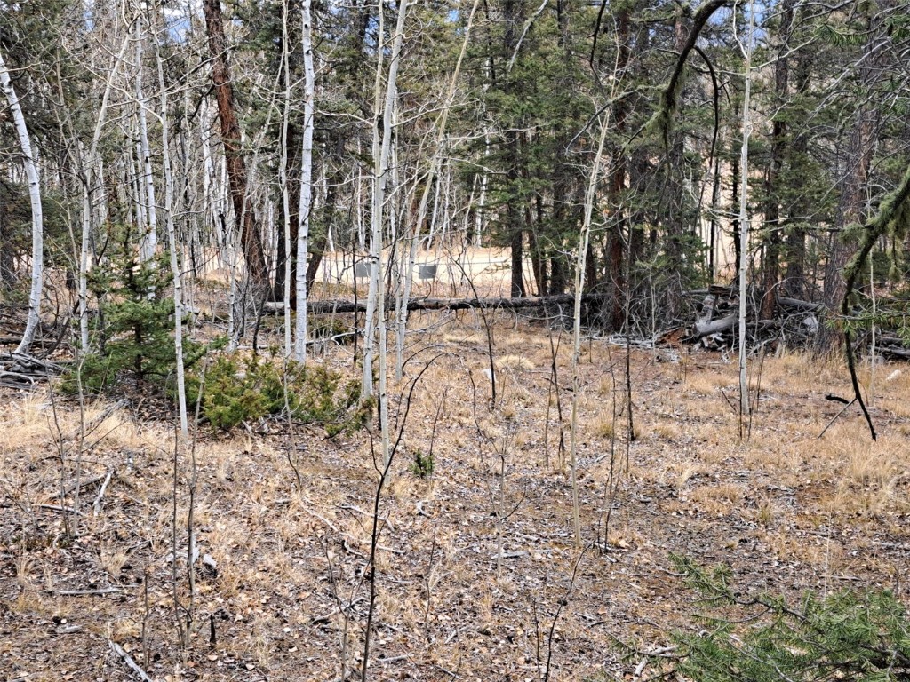 210 Tepee Trail Property Photo 17