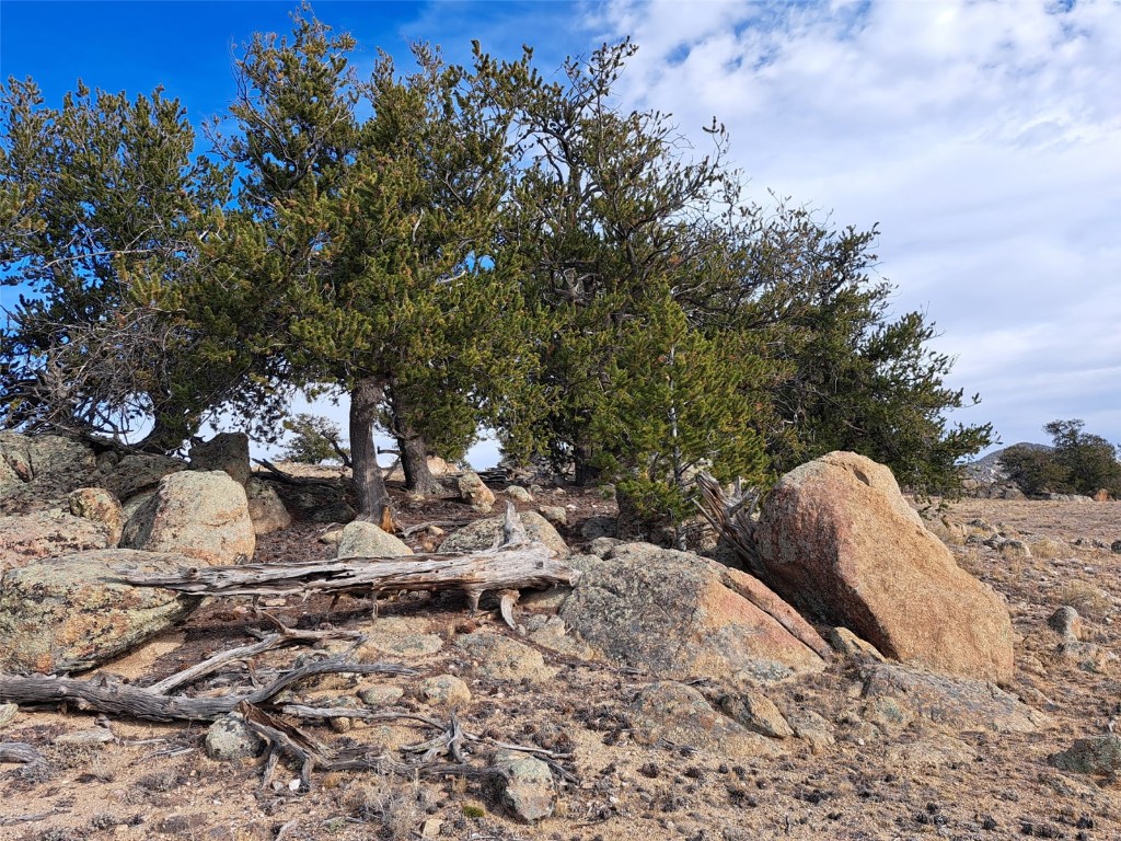1282 Ute Trace Property Photo 1