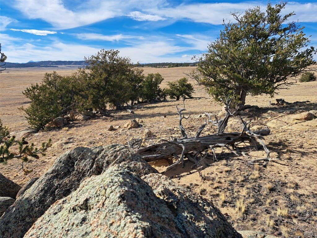 1282 Ute Trace Property Photo 3