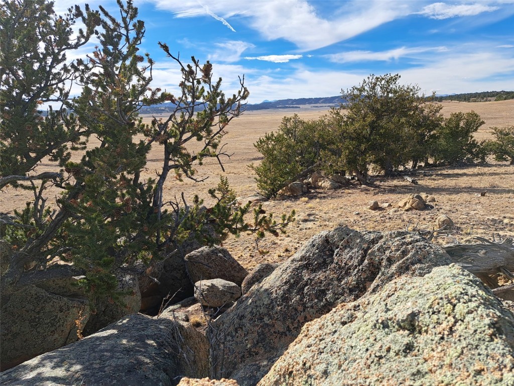 1282 Ute Trace Property Photo 4