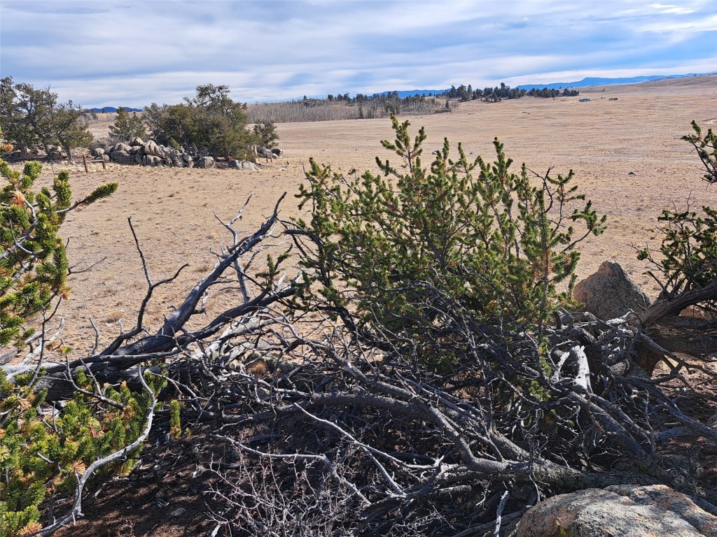 1282 Ute Trace Property Photo 5