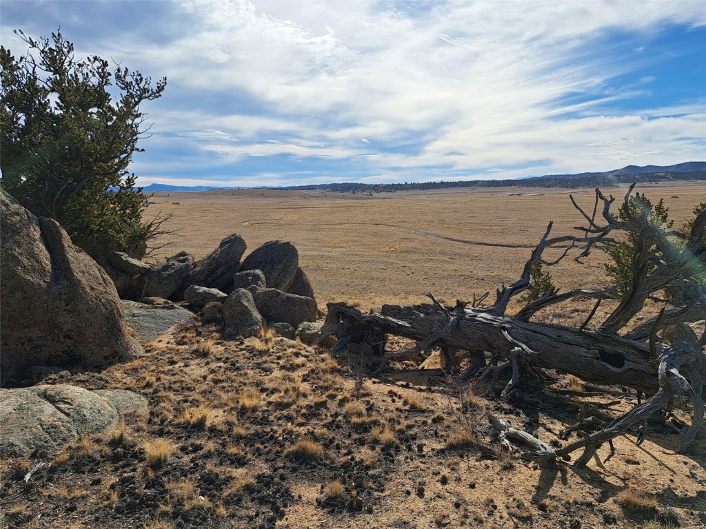 1282 Ute Trace Property Photo 7