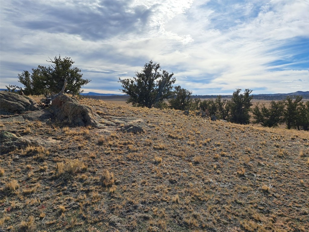 1282 Ute Trace Property Photo 8