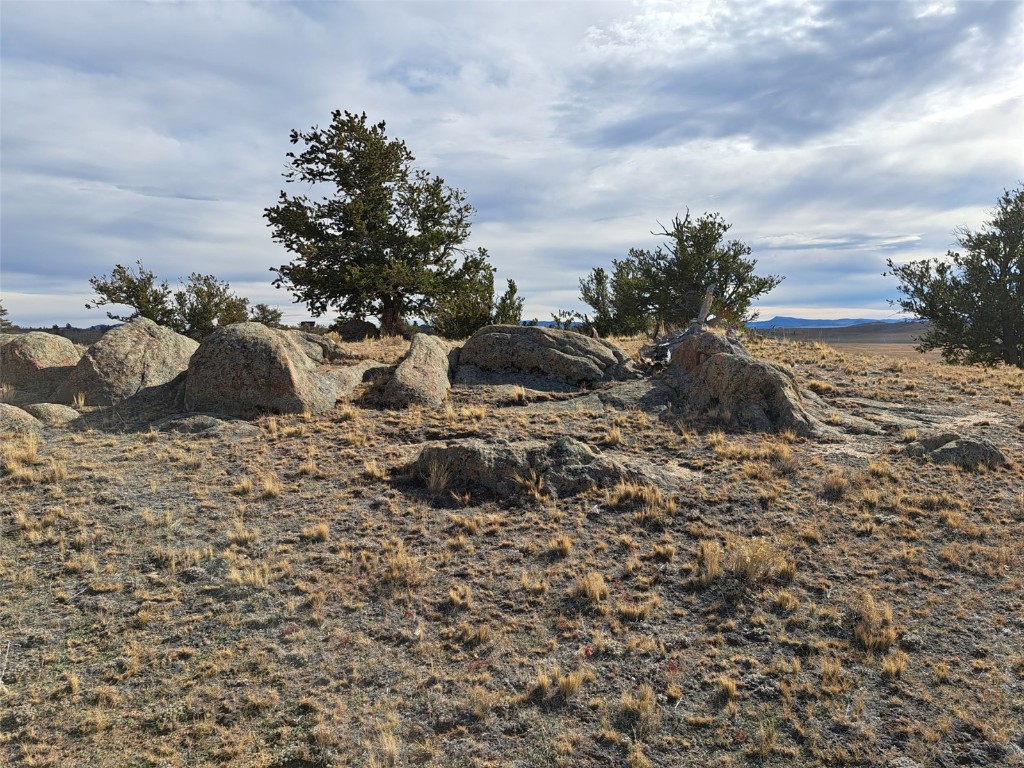 1282 Ute Trace Property Photo 9