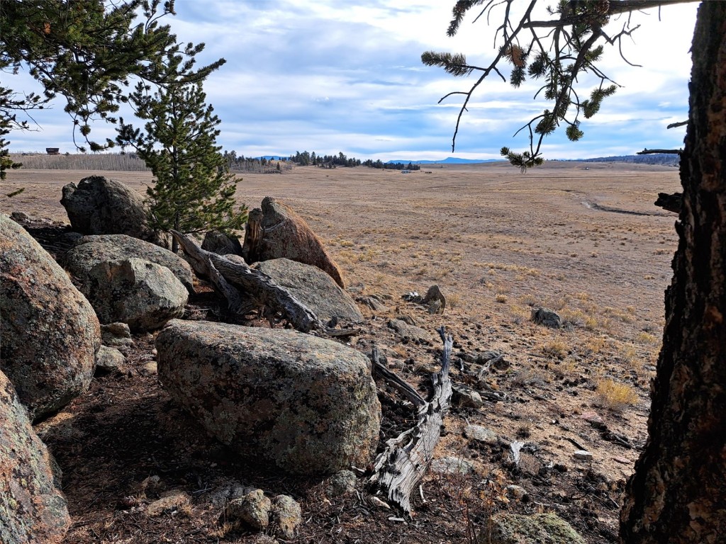1282 Ute Trace Property Photo 10