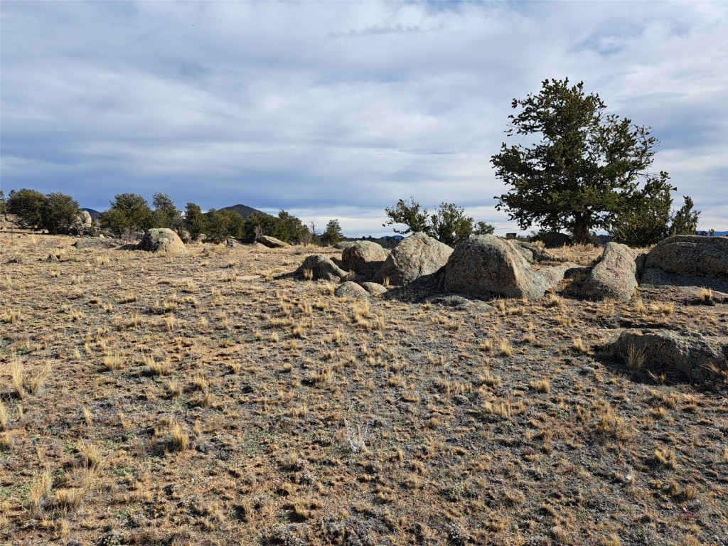 1282 Ute Trace Property Photo 11