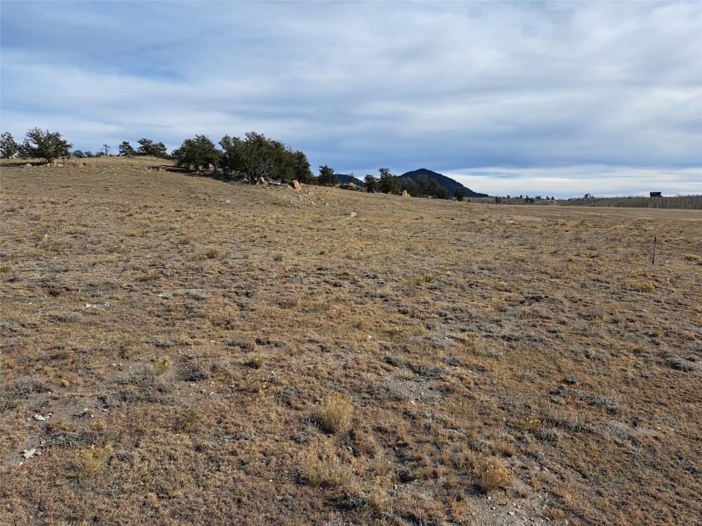 1282 Ute Trace Property Photo 12