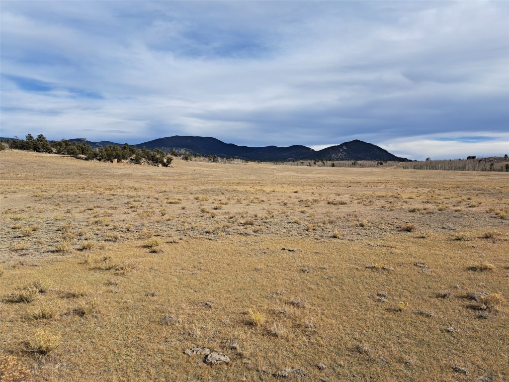 1282 Ute Trace Property Photo 13