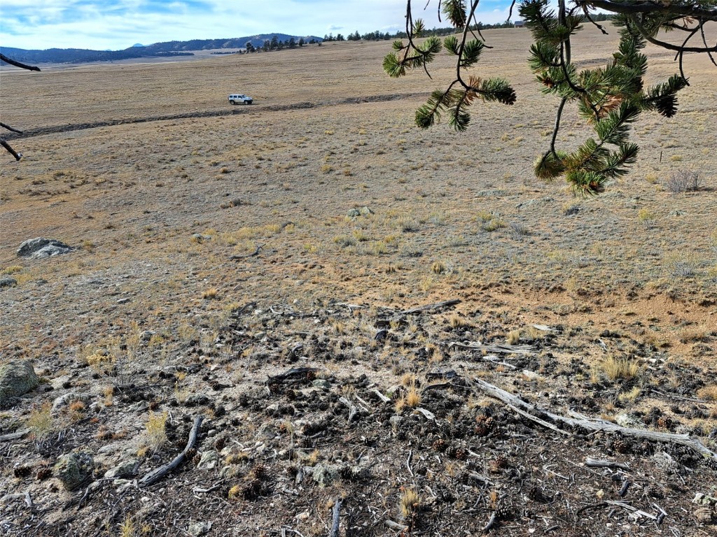 1282 Ute Trace Property Photo 16
