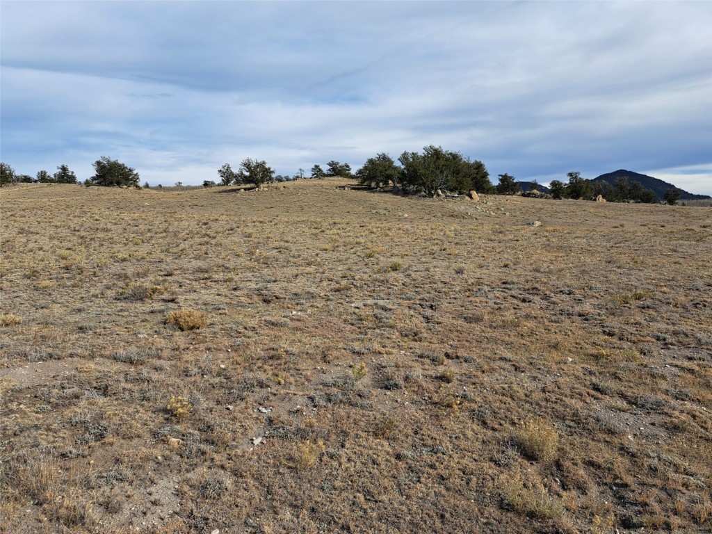 1282 Ute Trace Property Photo 17
