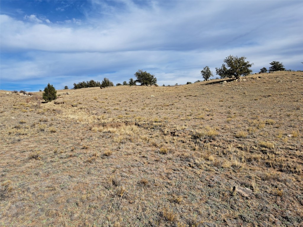 1282 Ute Trace Property Photo 18
