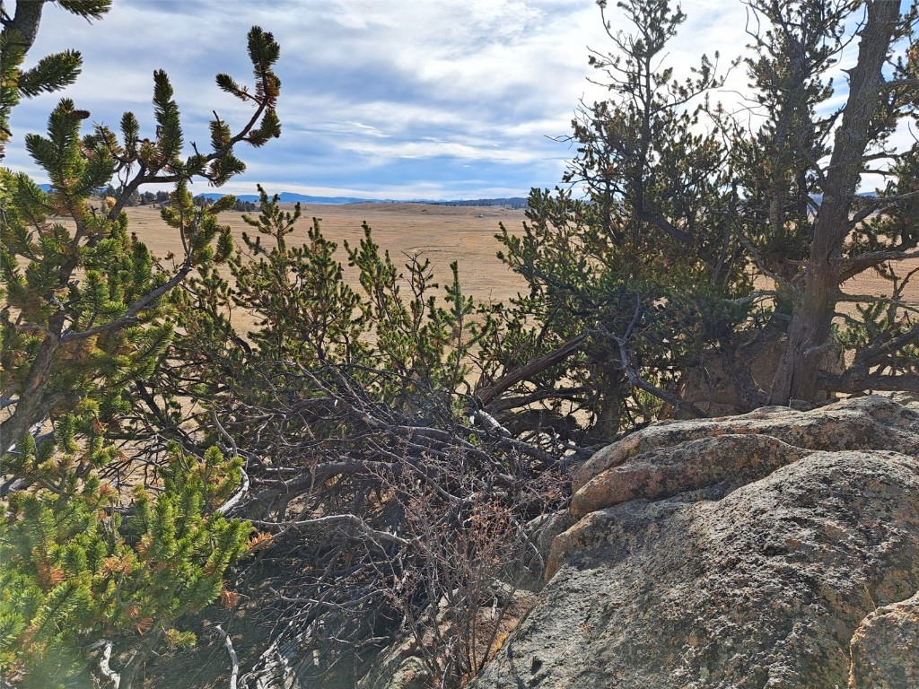 1282 Ute Trace Property Photo 19