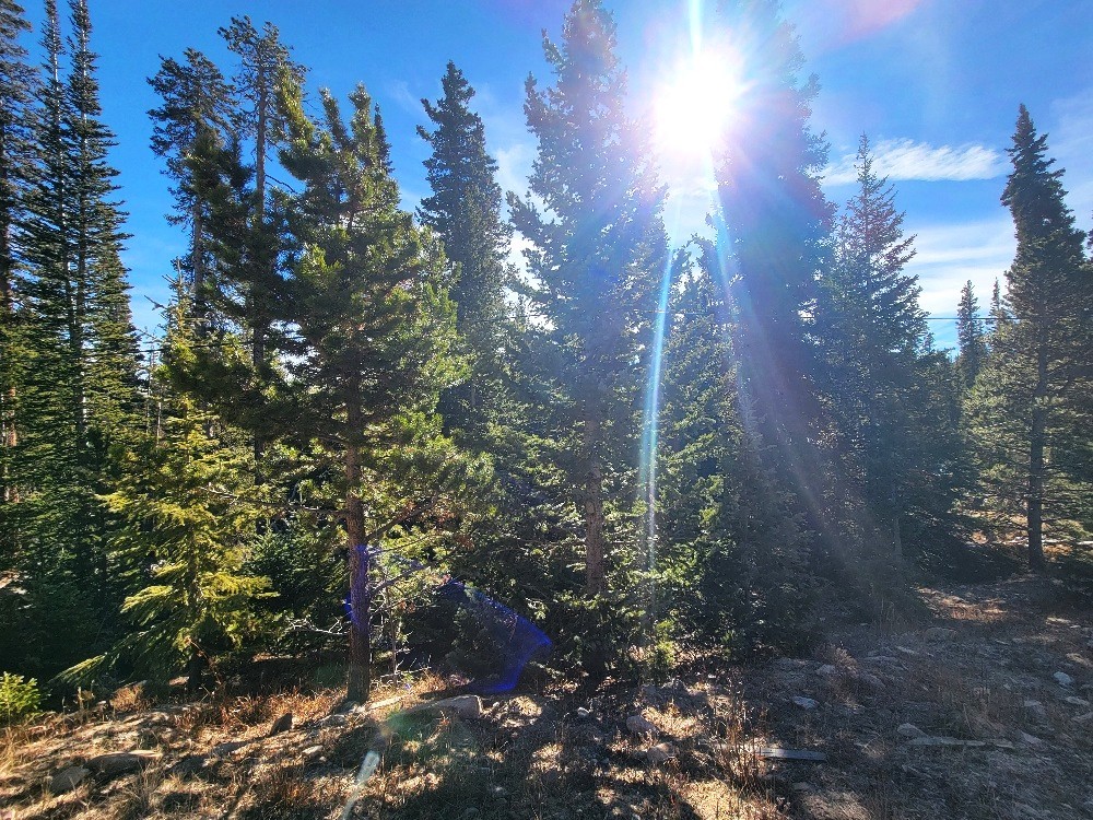 1400 Bobcat Lane Property Photo 3