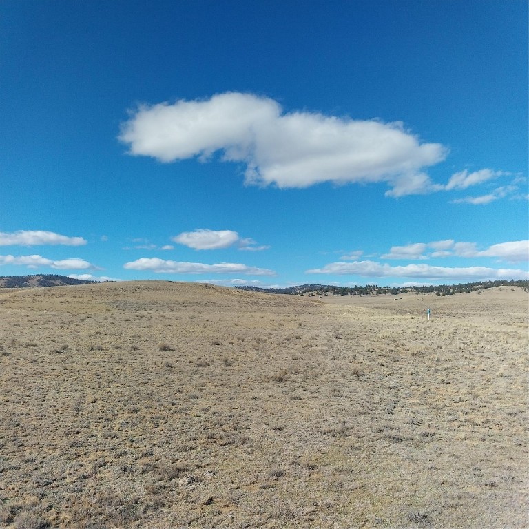 3552 Ute Trace Property Photo 2