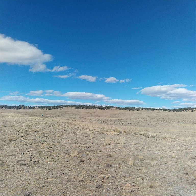 3552 Ute Trace Property Photo 3