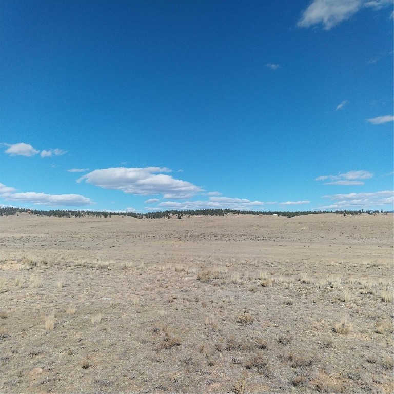 3552 Ute Trace Property Photo 4