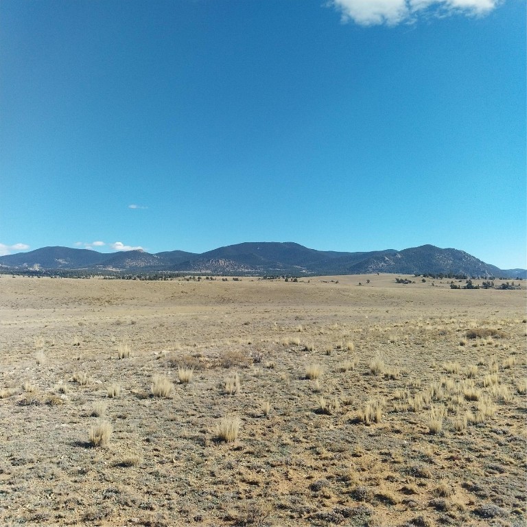 3552 Ute Trace Property Photo 7