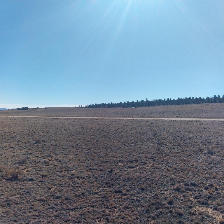 3552 Ute Trace Property Photo 10
