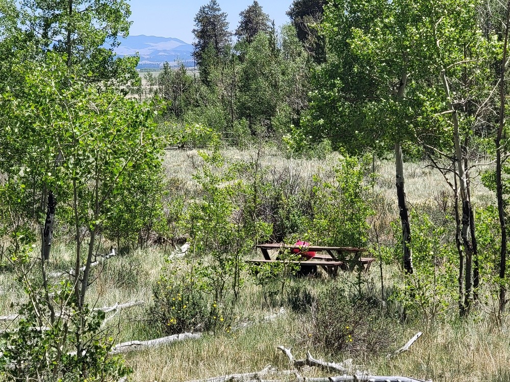 542 Thickspike Road Property Photo 27