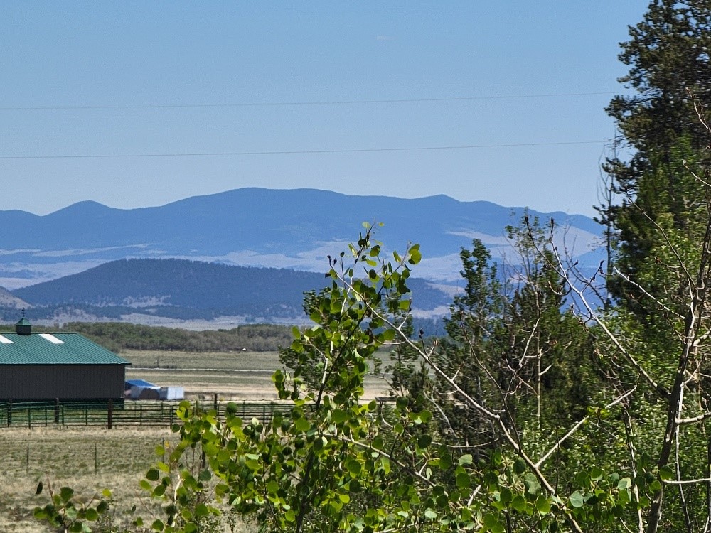 542 Thickspike Road Property Photo 30