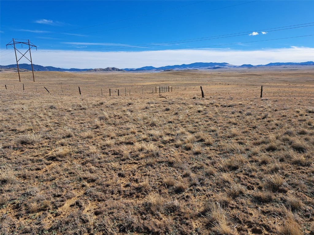 0 Tarryall Street Property Photo 1