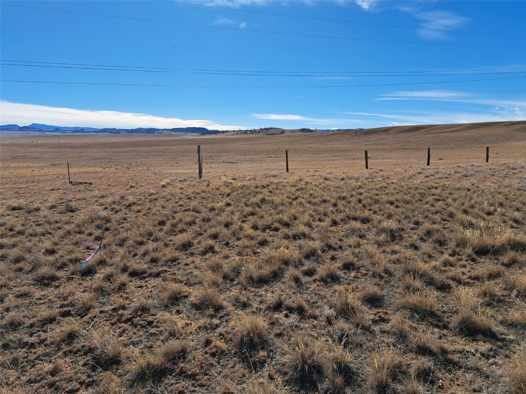 0 Tarryall Street Property Photo 6