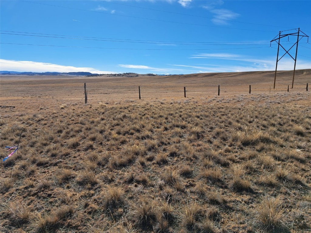 0 Tarryall Street Property Photo 11