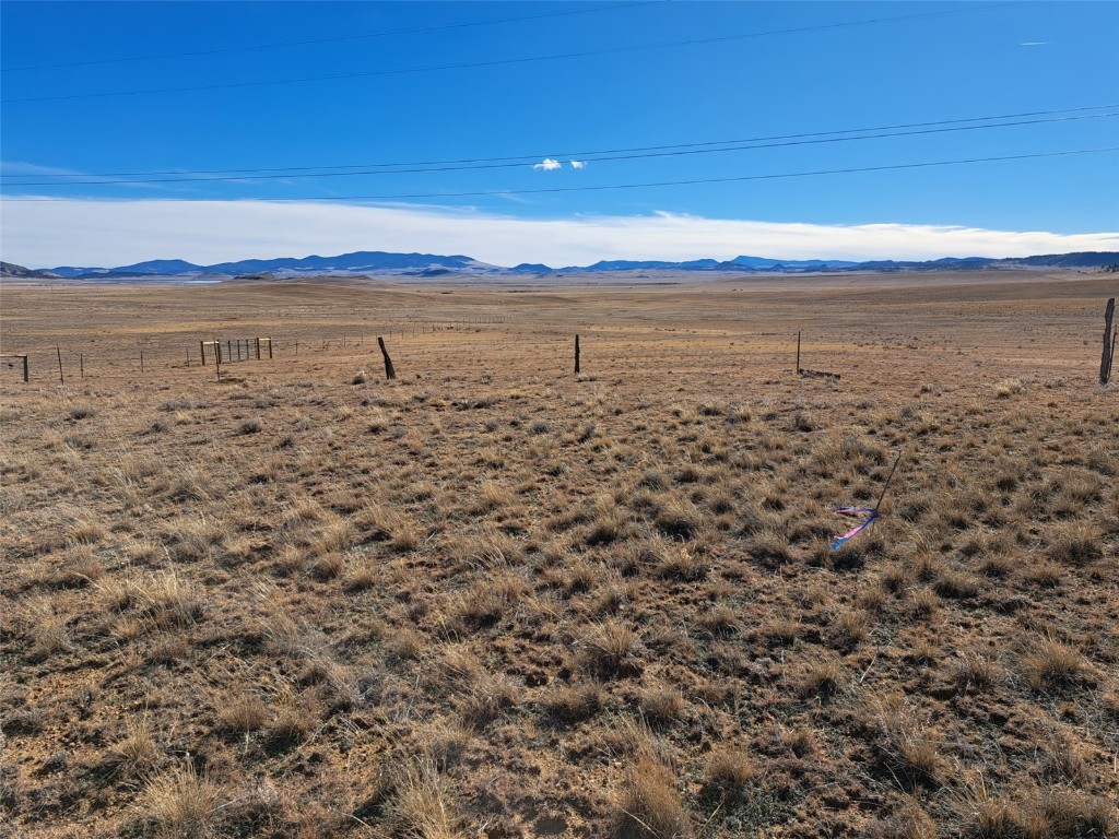 0 Tarryall Street Property Photo 12