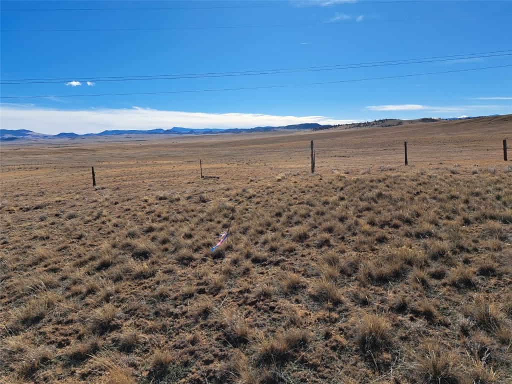 0 Tarryall Street Property Photo 13