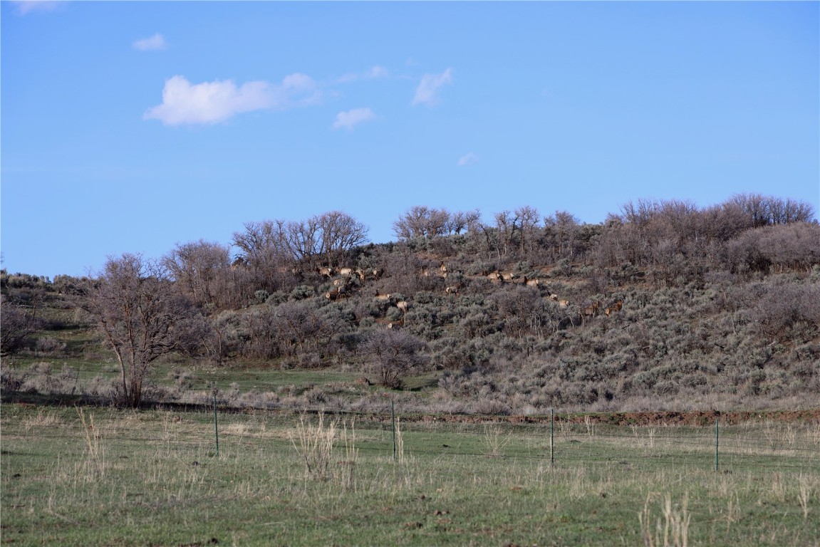 Tbd Cr 100 Property Photo 16