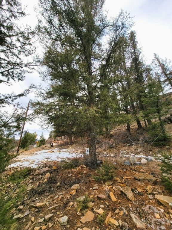 403 Redhill Road Property Photo 10
