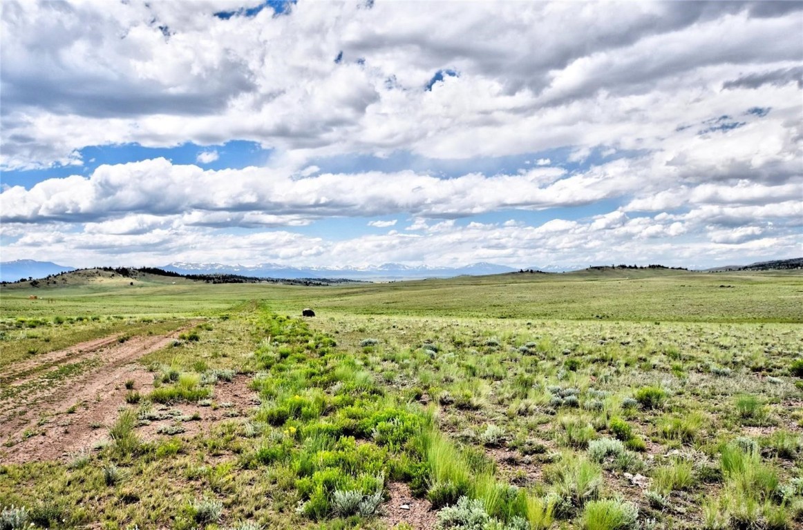 1238 Chicha Road Property Photo 3
