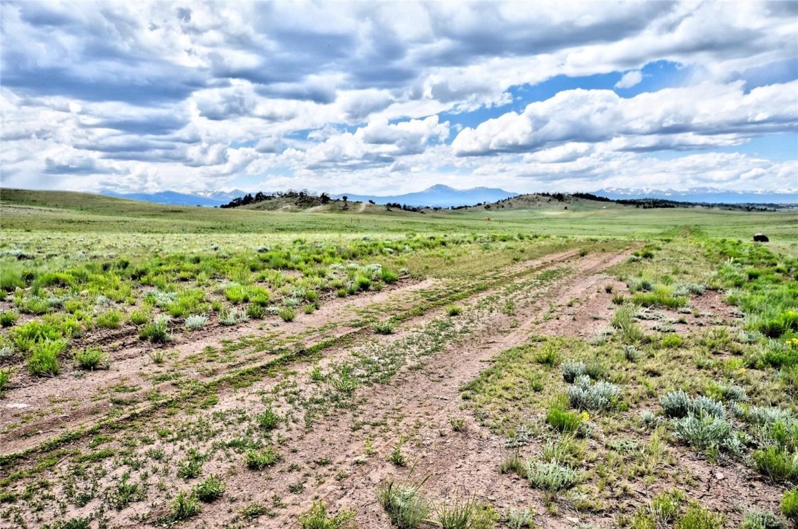 1238 Chicha Road Property Photo 4
