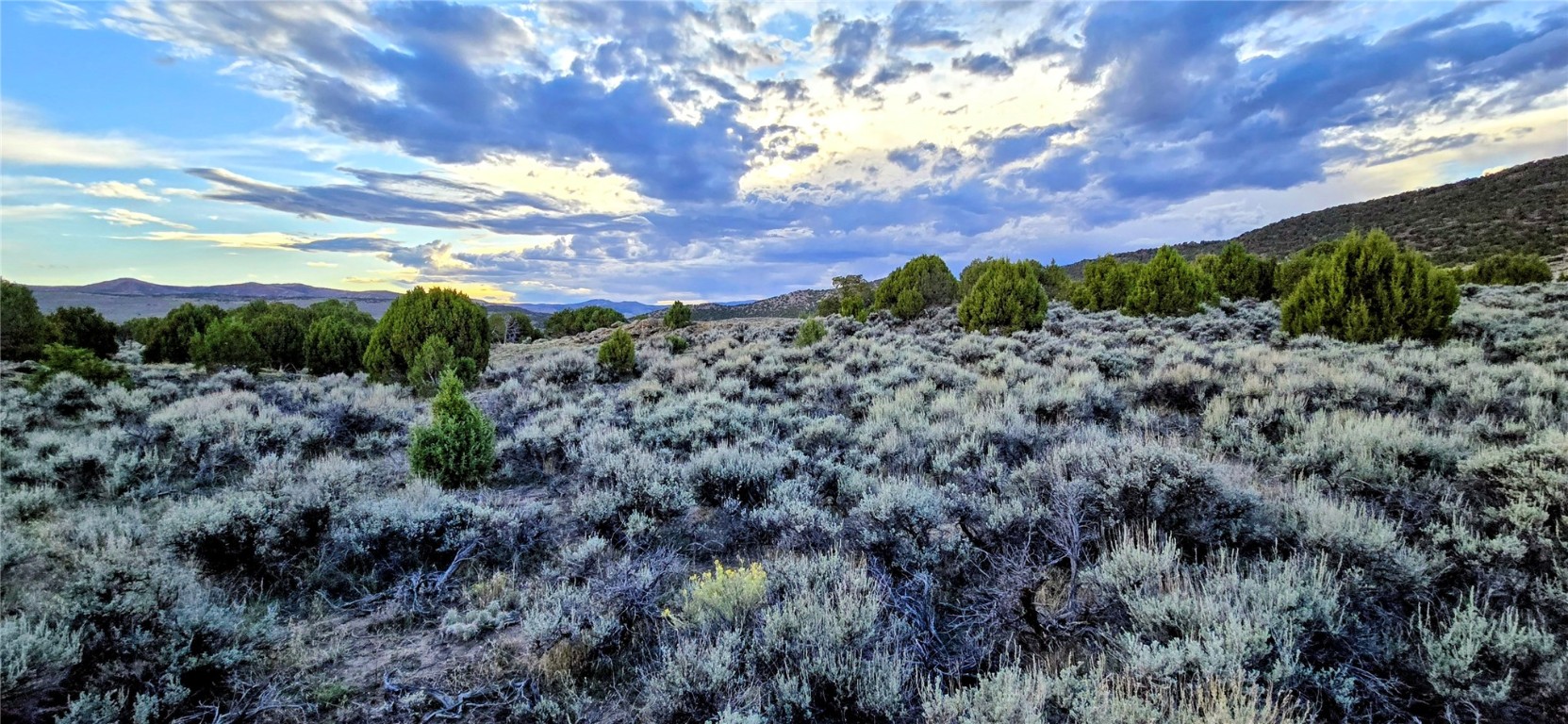 Tbd County Road 53 Property Photo 2