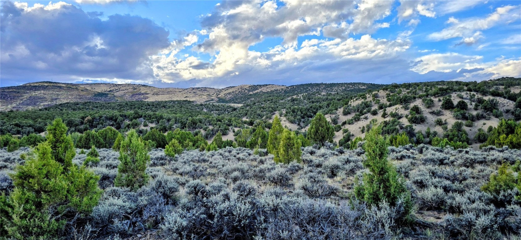 Tbd County Road 53 Property Photo 13
