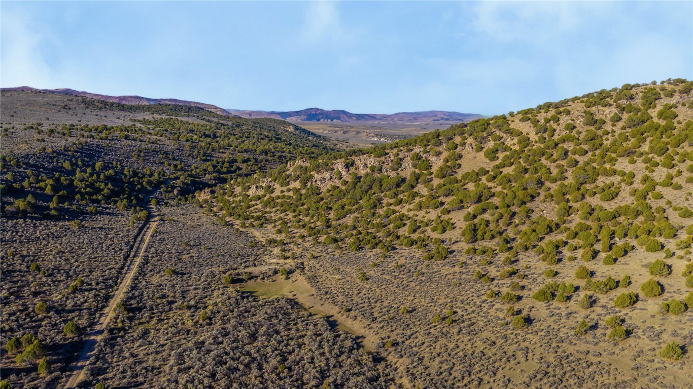 Tbd County Road 53 Property Photo 15