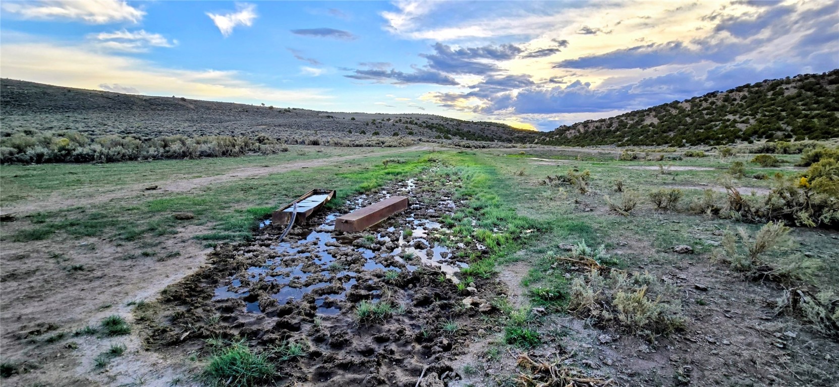 Tbd County Road 53 Property Photo 18