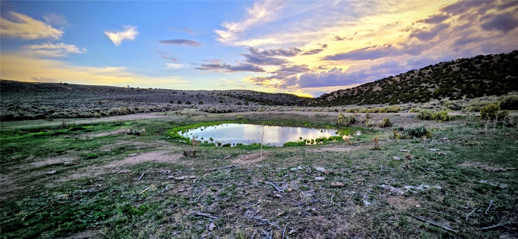 Tbd County Road 53 Property Photo 19