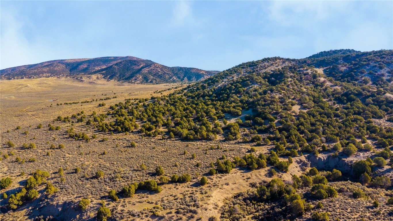 Tbd County Road 53 Property Photo 31