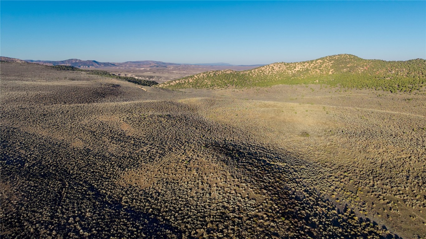 Tbd County Road 53 Property Photo 34