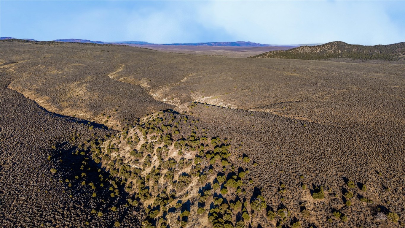 Tbd County Road 53 Property Photo 39