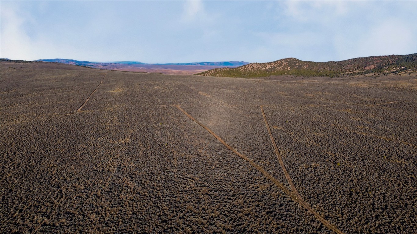 Tbd County Road 53 Property Photo 40