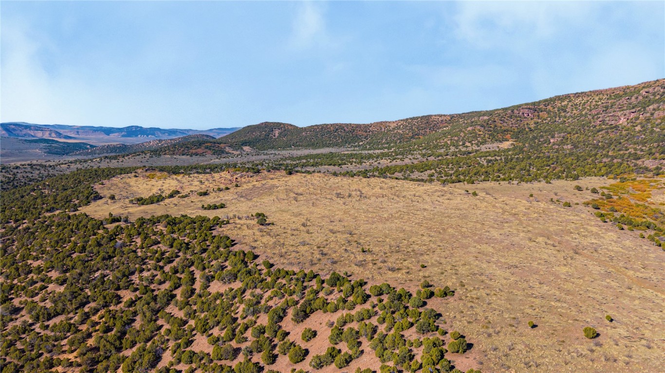 Tbd County Road 53 Property Photo 49
