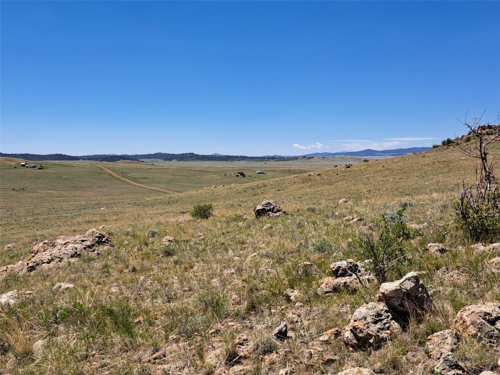 6630 Atoka Road Property Photo 4