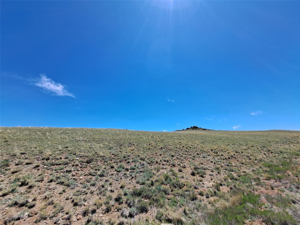 6630 Atoka Road Property Photo 8